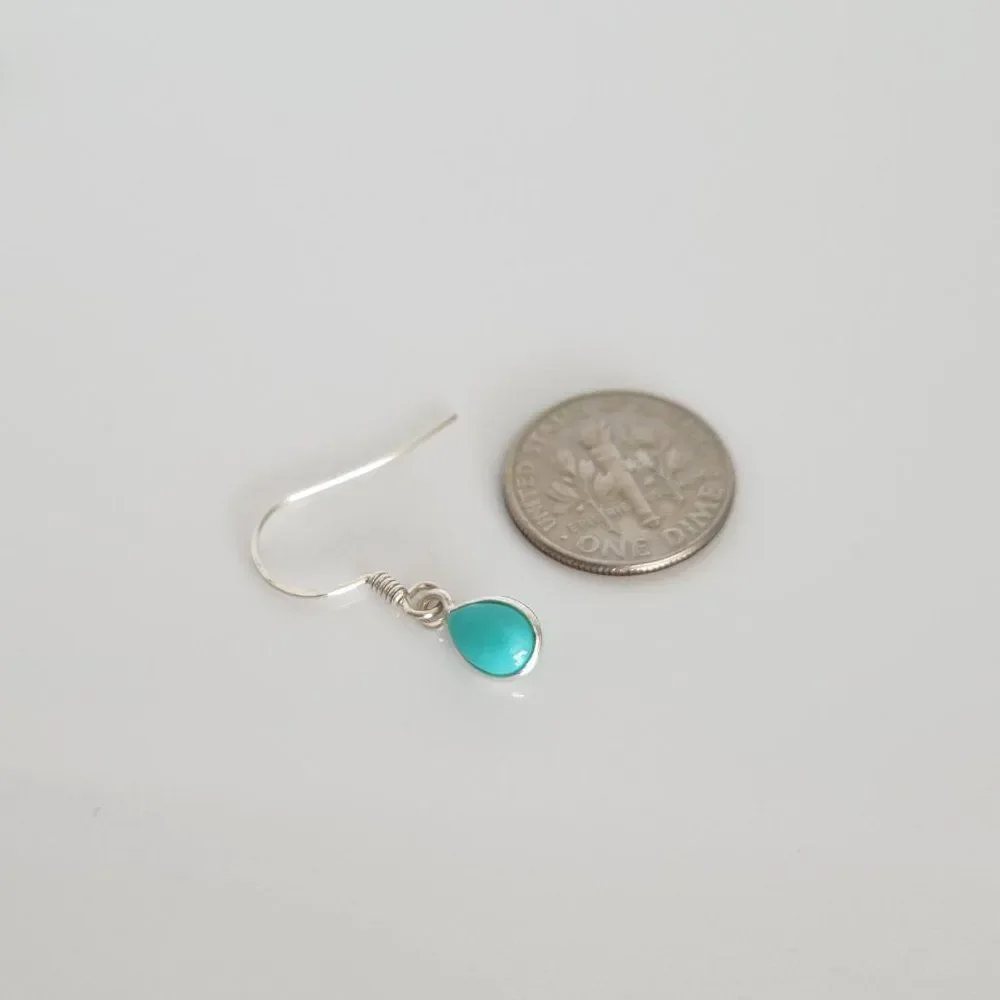 Sonoran Turquoise Earrings in Sterling Silver